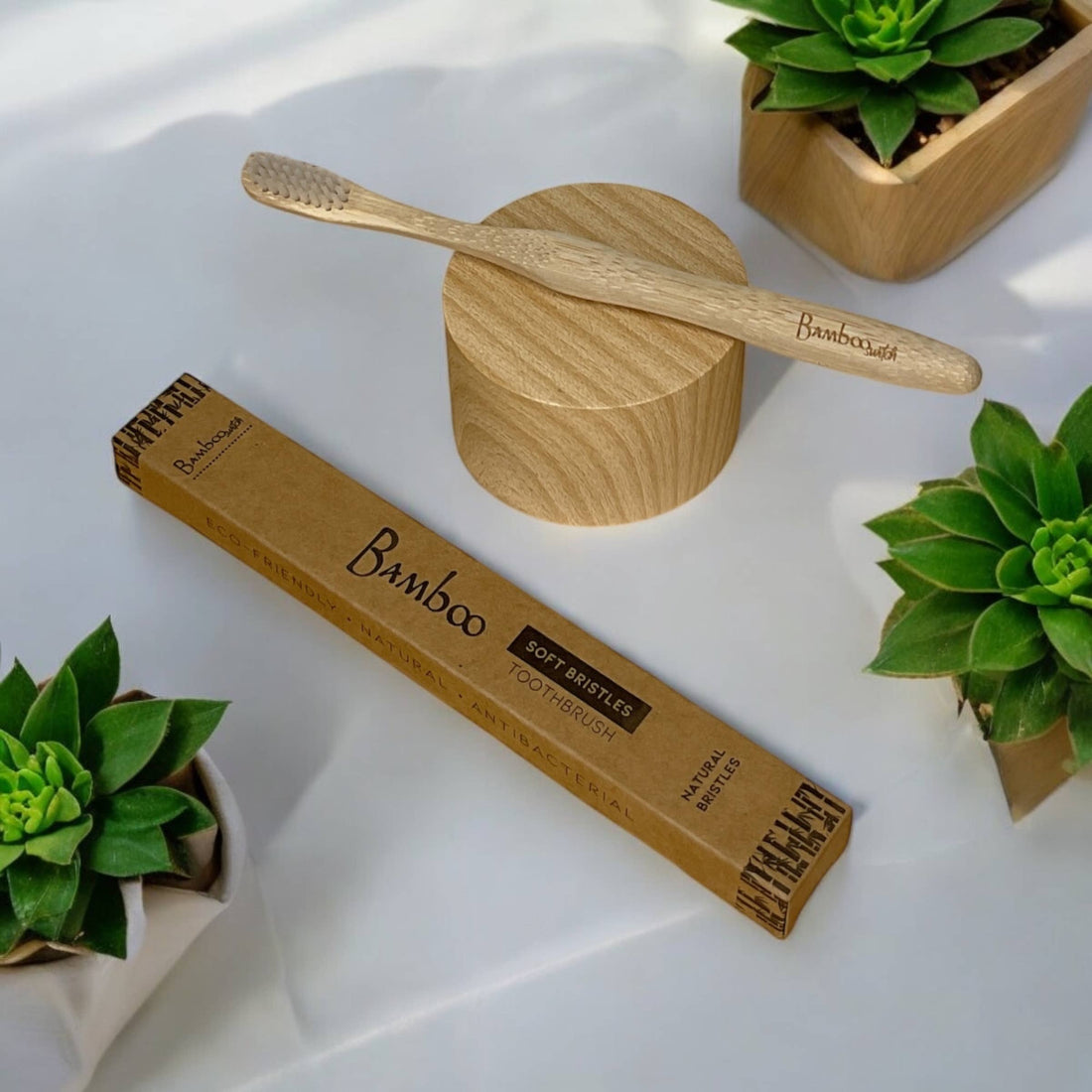 100% Compostable Bamboo Toothbrush | Market Bestseller