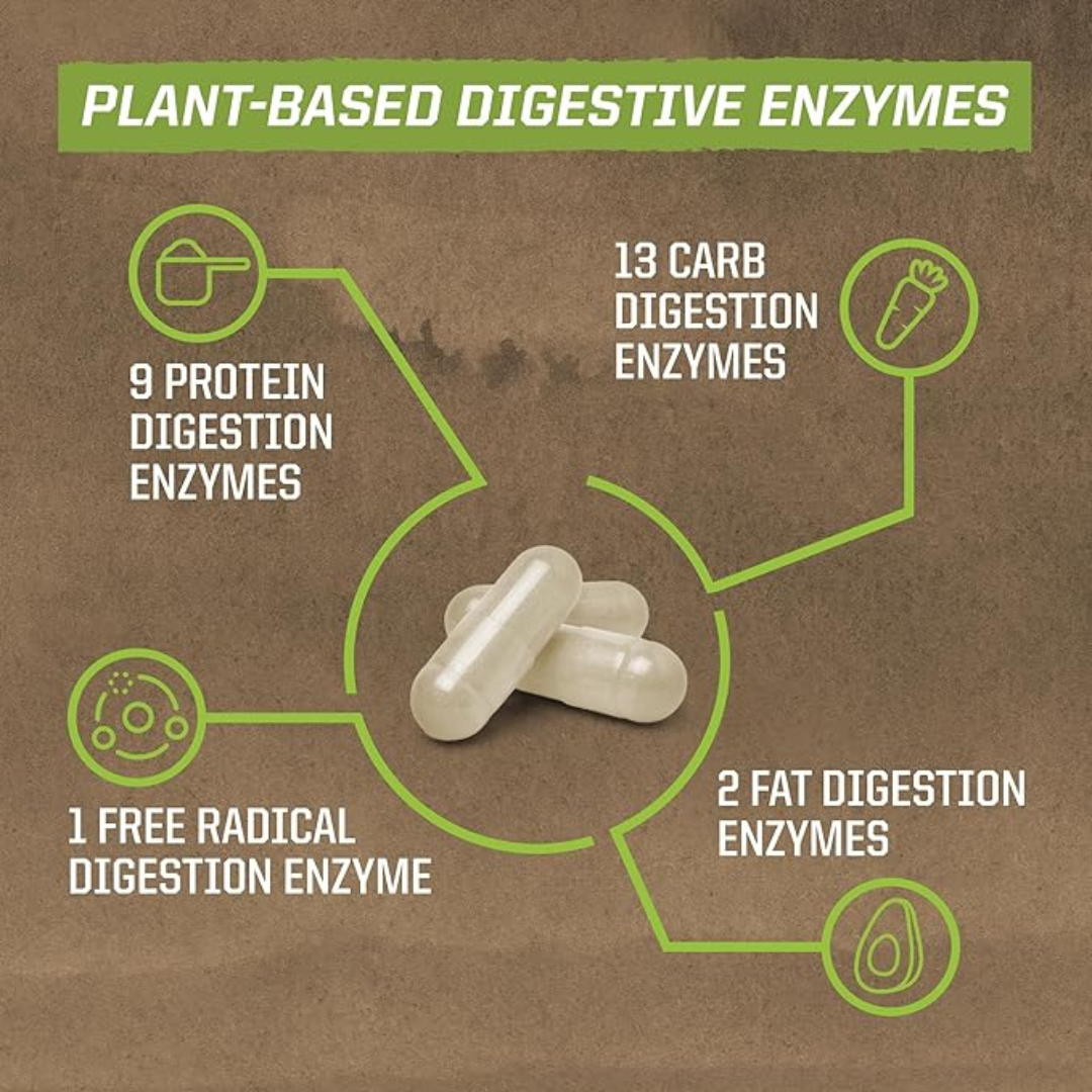 Enzorb Digestive Enzyme Supplement Capsules  - Plant-Based